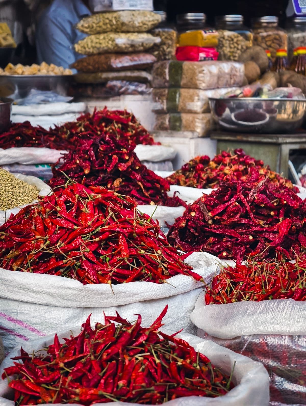 Red Chilli — S17/Teja · 334/Super · Byadgi